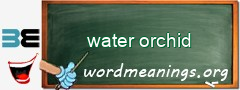 WordMeaning blackboard for water orchid